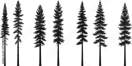 Conifer tree silhouettes, pine fir illustration, black tree icons, evergreen foliage patterns, natural forest design, botanical vector art, diverse tree collection