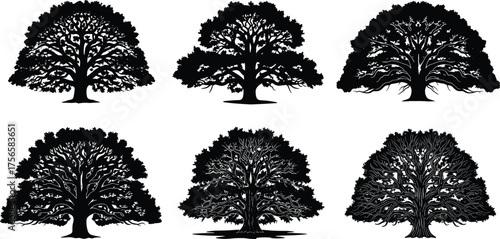 Large tree silhouettes, mature trunk illustration, black tree icons, expansive canopy patterns, natural landscape design, botanical vector art, diverse tree collection