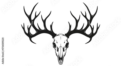 Deer Skull with Antlers Vector Illustration.