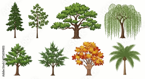 Collection of Different Tree Illustrations – Nature, Ecology, and Botanical Designs