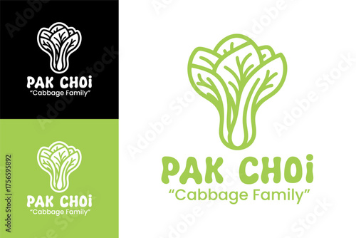 Abstract Pak Choi Logo Modern Organic Emblem