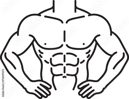 Line art rendering of a muscular male torso emphasizing defined abs and pectorals
