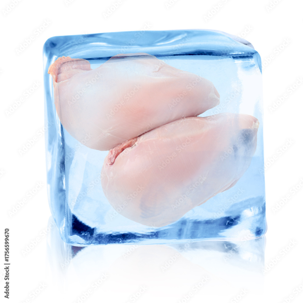 Fototapeta premium Turkey breasts in ice cube on white background. Fresh meat