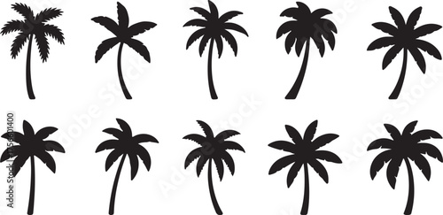 Silhouette of Palm Trees in Various Positions