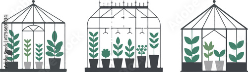 Greenhouse with Plants and Pots