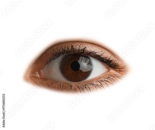 Young Asian woman with brow...