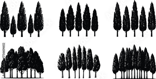 Grouped tree silhouette set, black vector illustration, forest composition variations, nature design, minimal botanical elements, landscape concept art, spacing and canopy styles