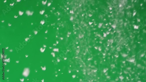 A green background with a scattering of white blurred teardropshaped elements