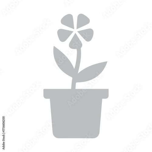 Flower in Pot