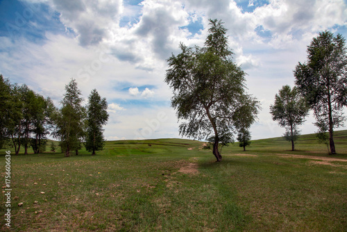 Vast grassland with scattered trees under a cloudy sky