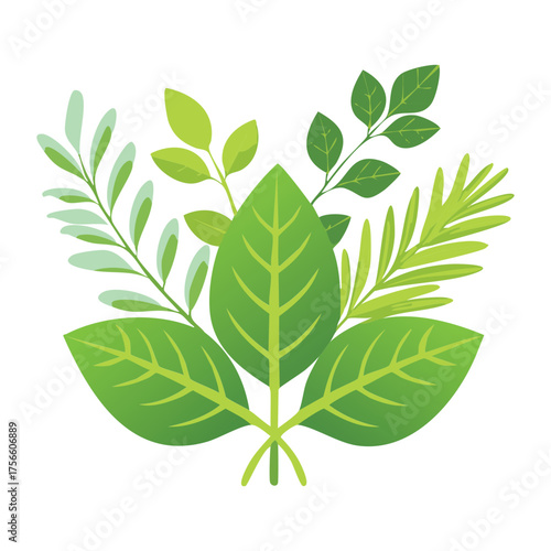 Simple Green Herb Leaves Bundle Illustration Healthy Organic Food Ingredient and Cooking Garnish Design Element