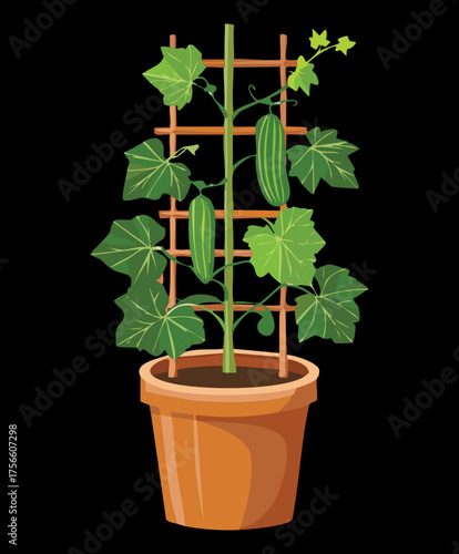 Potted cucumber plant with large green leaves and fruit climbing on a wooden grid trellis structure