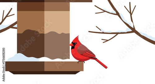 Red Cardinal Bird at Wooden Feeder in Winter, Snow, Bare Branches