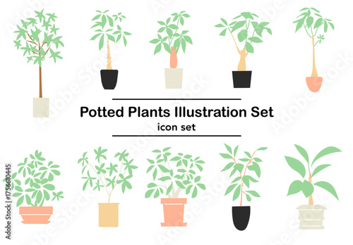 穏やかな雰囲気を感じる鉢植え植物のイラストセット｜室内装飾やボタニカルデザインに使いやすい白背景のベクターデータ