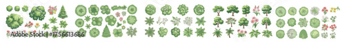 Watercolor style hand drawn top of view tree garden useful for landscape design	
