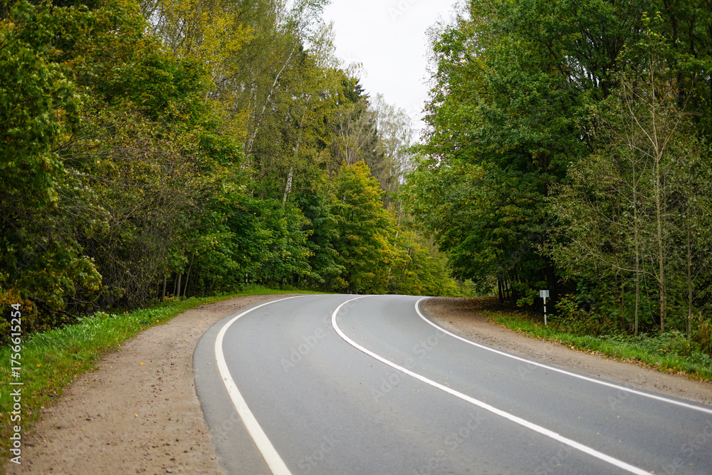 Fototapeta premium Winding Asphalt Road Through a Lush Green Forest