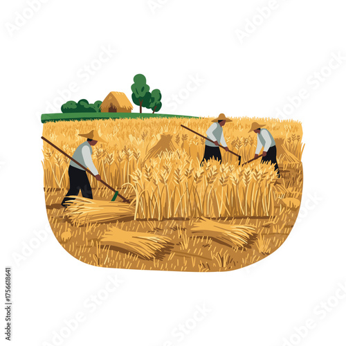 A group of male farmers wearing hats work in a golden wheat field, using traditional scythes to harvest the crop. Vector illustration