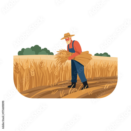 Elderly caucasian male farmer in overalls and a straw hat harvesting wheat in a field. Vector illustration