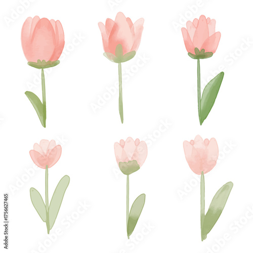 Tulips element set. hand draw watercolor painted isolated on white background. for design such as card, wallpaper and textile. 