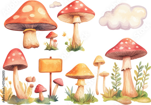 set of mushrooms