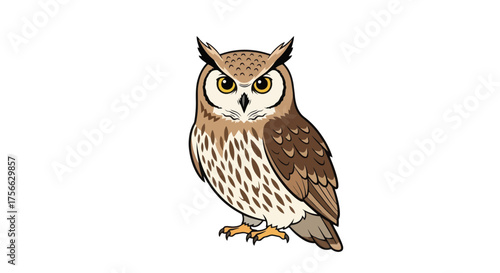 Vector  illustration of a cartoon owl with brown and white feathers standing on its feet looking forward