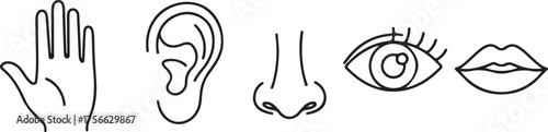 Line Art Icons Five Human Senses Black White Vector