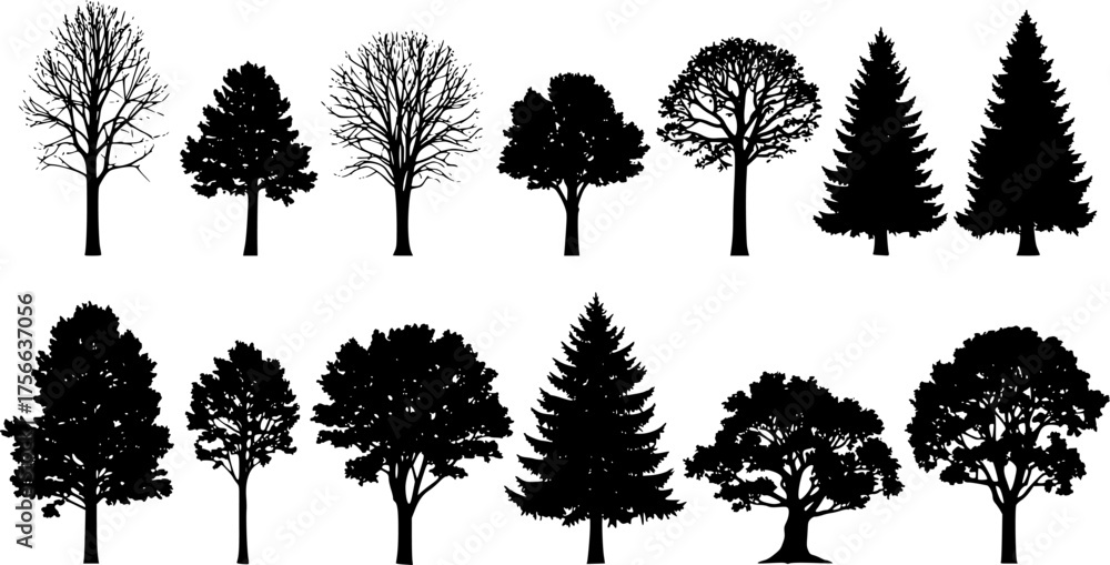 Fototapeta premium various deciduous trees silhouettes on the white background