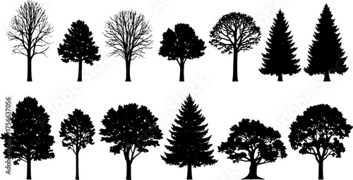 various deciduous trees silhouettes on the white background