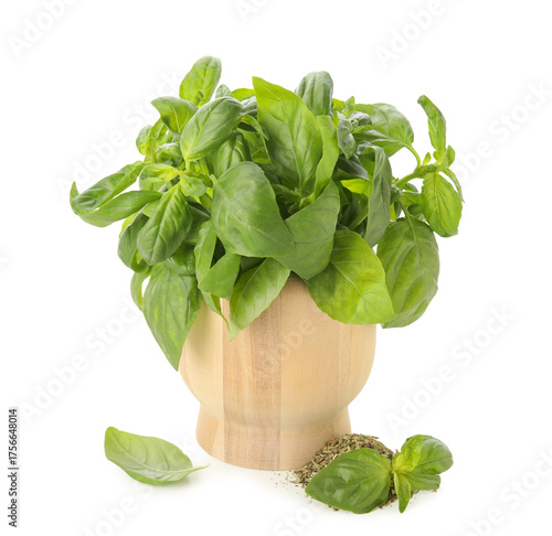 Fresh green basil leaves in...