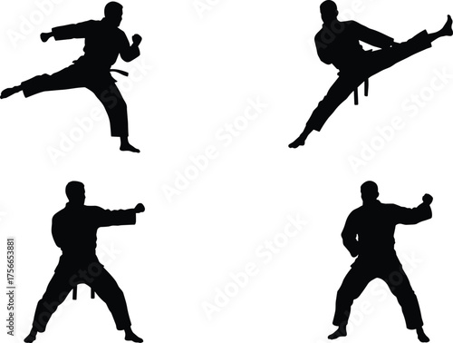 Karate fighters performing martial arts silhouette, karate training action poses, self defense combat practice illustration, black belt discipline concept design