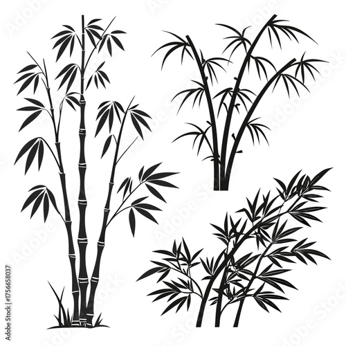 Collection of stylized black silhouette bamboo plants and branches with leaves isolated on a white background for design and decoration purposes