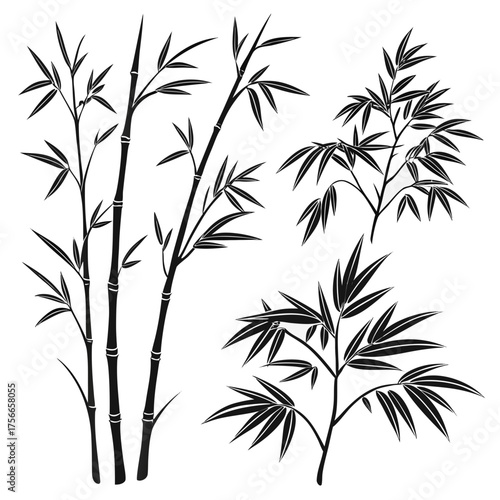 A collection of stylized black silhouette bamboo stalks and branches with detailed leaves on a white background