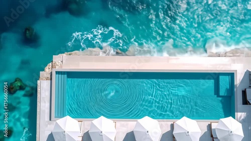 diver and coral reef