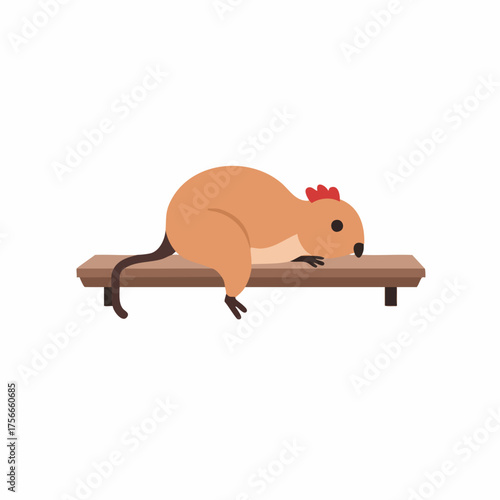 Flat Cartoon Quokka Lying on Bench Illustration Animal Character