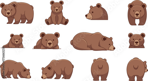 Cartoon brown bear poses, cute animal movements, forest wildlife character design, walking sitting standing lying vector illustrations, front side rear views
