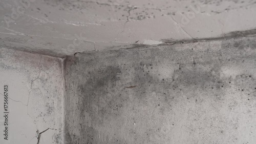 Toxic black mold on walls and ceiling in damp room, serious health risk