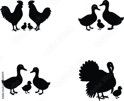 Bird family silhouette, poultry illustration, duck and chick, turkey group, rooster and hen, farm birds, animal grouping, rural life, feathered species