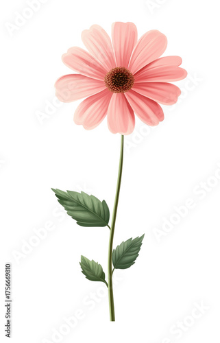 Watercolor simple, cute, and adorable pink flower with green leaves on a long stem, clipart isolated on a white background.