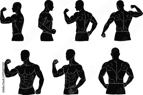 Muscular male silhouette, anatomy pose, bodybuilding reference, flexing biceps, back muscles, fitness figure, gym body, artistic anatomy, strength training, upper body