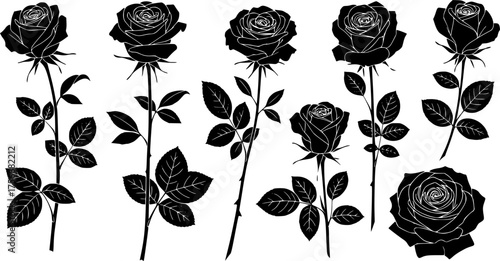 Set of decorative rose with leaves. Flower silhoutte. Vector illustration.