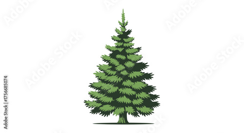 Vector  illustration of a single evergreen tree with green needles and a conical shape design art