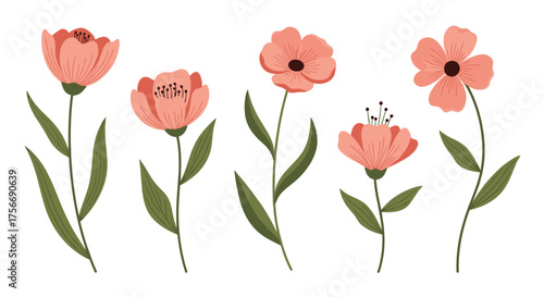 A collection of delicate coral colored flowers with green stems and leaves arranged in a pleasing composition on a white background.