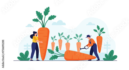 Farmers harvesting giant carrots from a field on a sunny day.