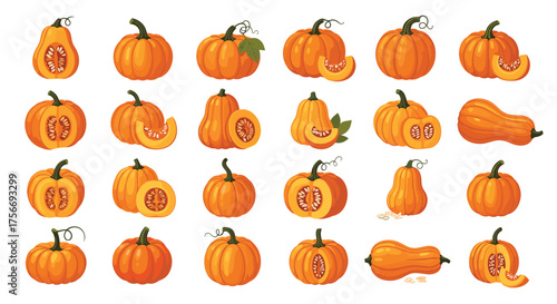 A collection of various orange gourds and pumpkins ready for fall harvest.