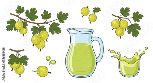 Illustration of gooseberries and a refreshing gooseberry drink.