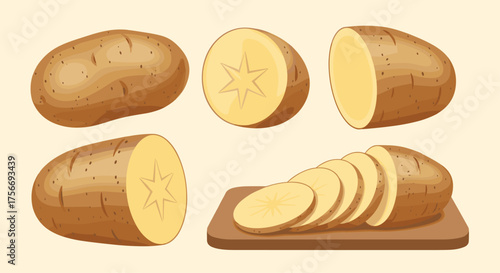 A collection of whole and sliced potatoes on a light background.
