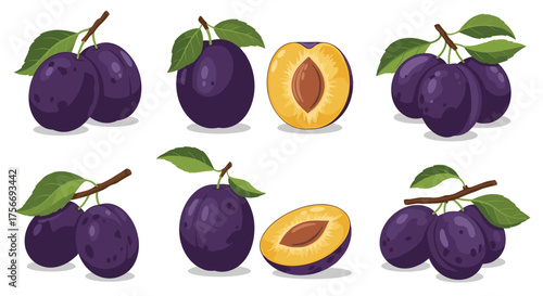 A collection of delicious ripe plums on a branch with one cut in half to show its juicy pit and flesh.