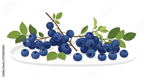 Fresh blueberries are presented on a white plate with green leaves on branches.