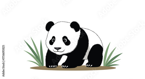 A cute baby panda walks through green grass on a sunny day.