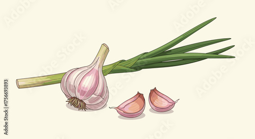 Fresh garlic bulb with green sprouts and peeled cloves on a light background.